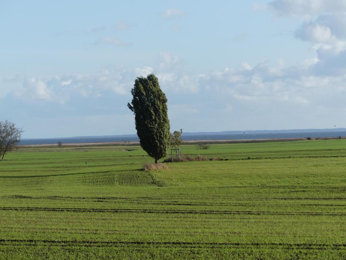 Landhaus Am Haff Stolpe auf Usedom Εξωτερικό φωτογραφία
