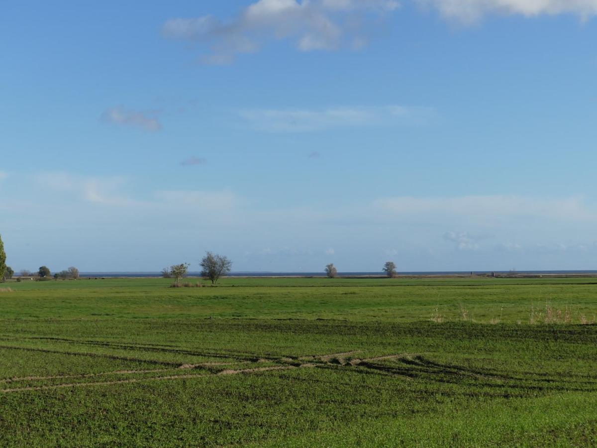 Landhaus Am Haff Stolpe auf Usedom Εξωτερικό φωτογραφία